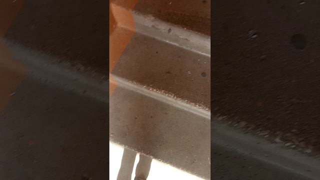 1000001216.mp4