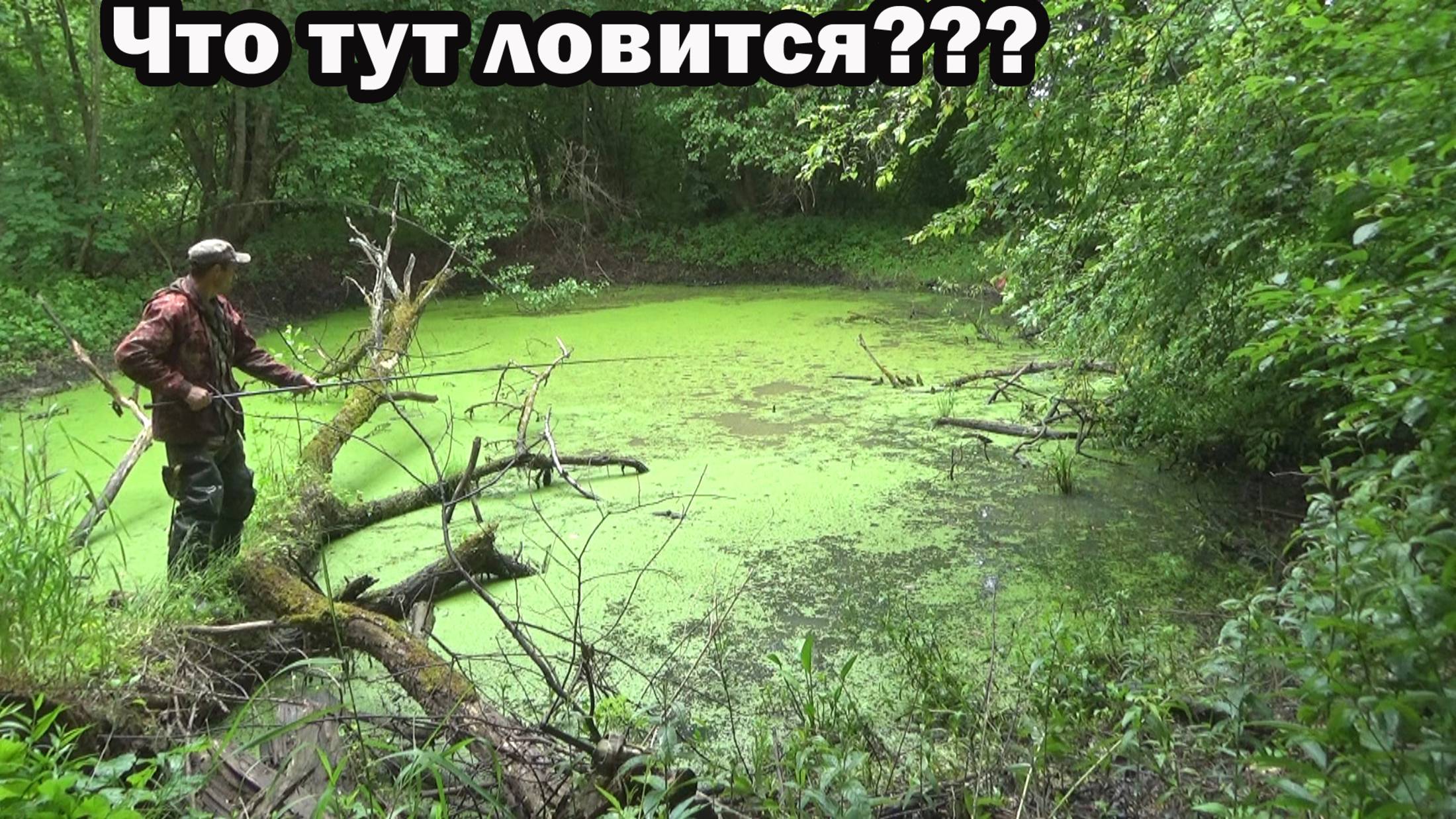 Рыбалка 12 июня на поплавок на старицах в поисках вьюна