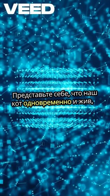 Кот Шрёдингера за 60 секунд