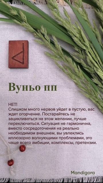 ДА или НЕТ. Быстрый от Рун ответ #shorts