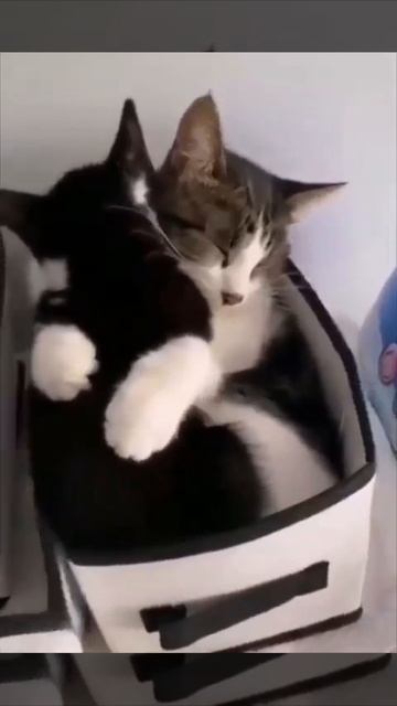 В тесноте, да не в обиде😍