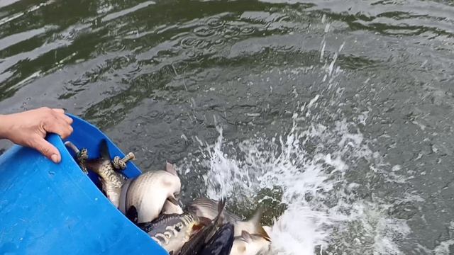 1000072080.mp4