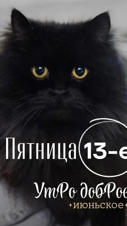 Проза жизни .
