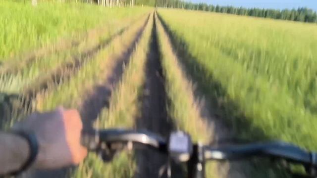 1000012383.mp4