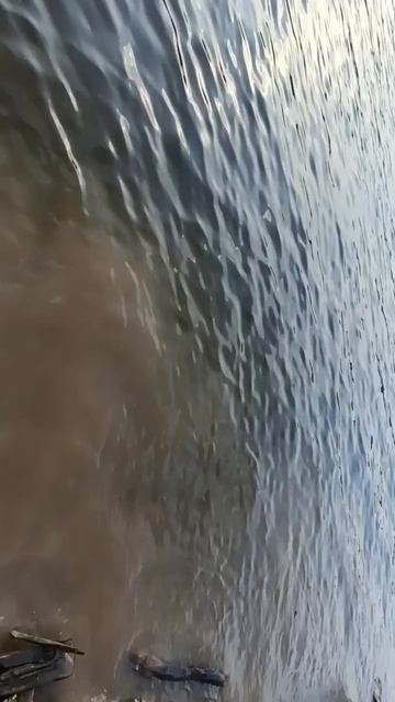 в беседке отдыхаем