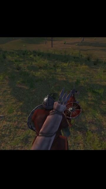 The Last Enemy⚔️ #mountandblade #rpg #gaming #game #gamer #gameplay #games