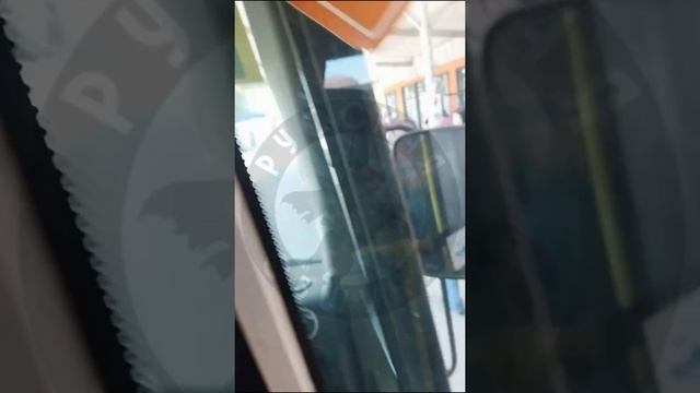 Местные жители неоднократно жаловались на отсутствие терминалов оплаты и хамское поведение водителей