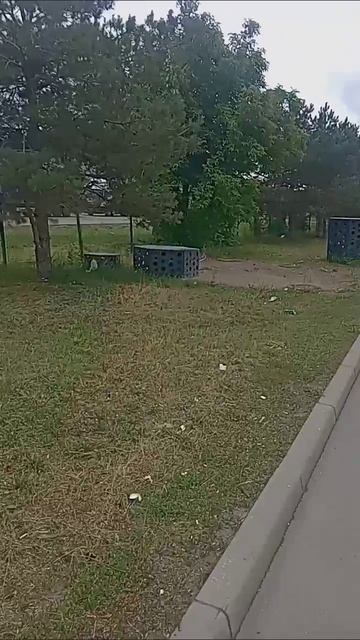 Красота