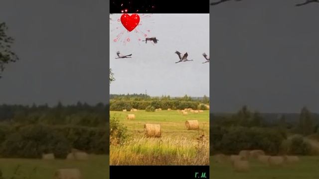 Песня о России