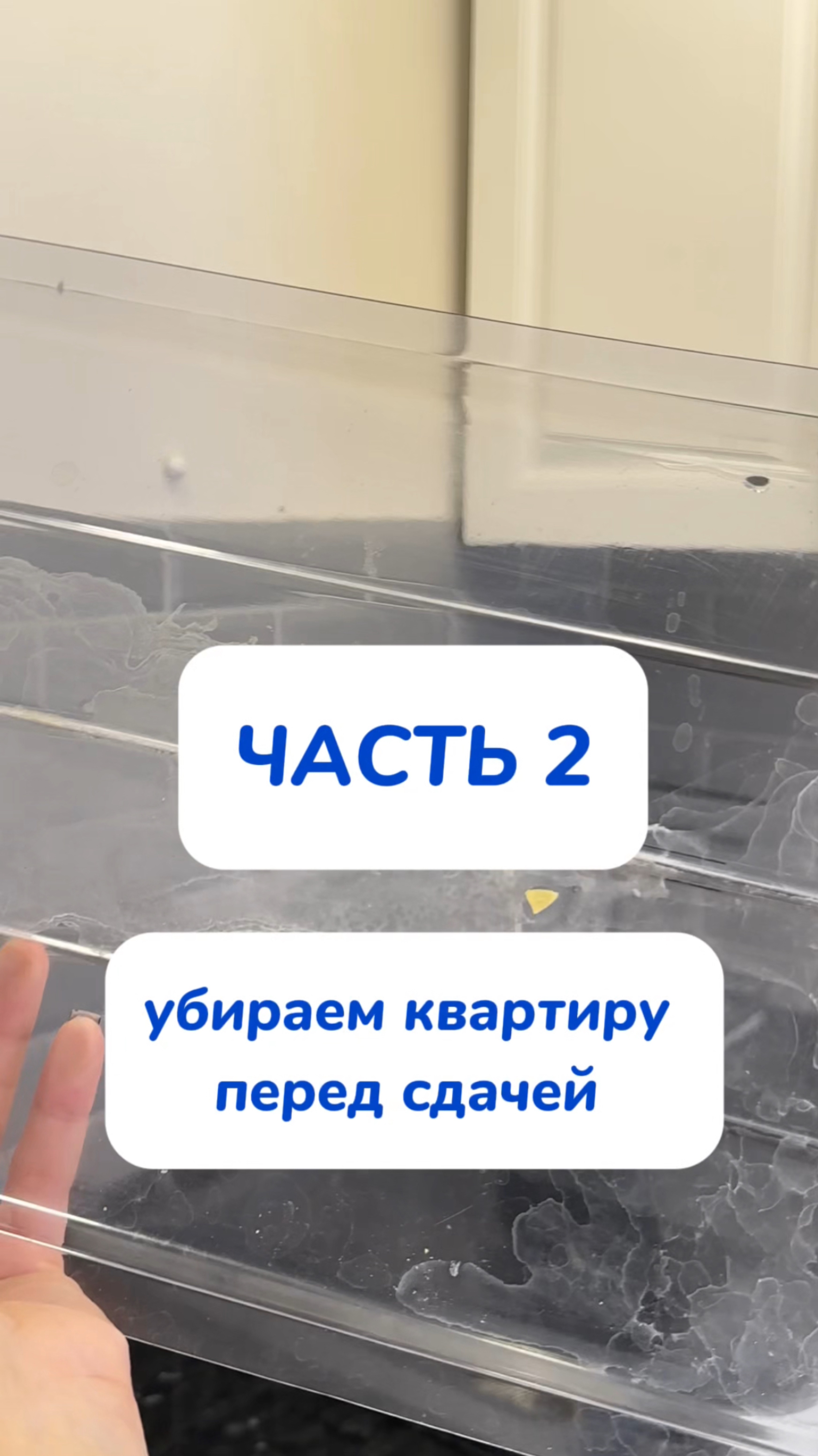 Артикул пасты на  WB #234577722