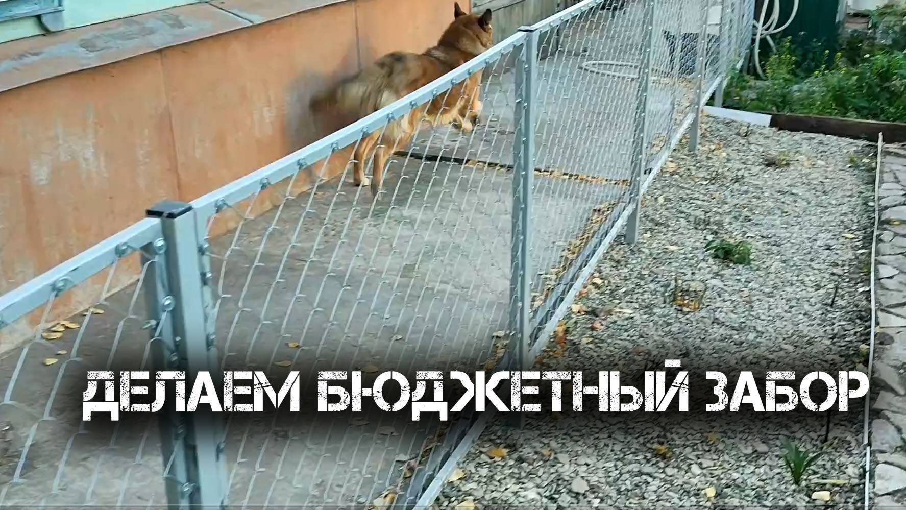 Делаем бюджетный забор (экономим деньги)