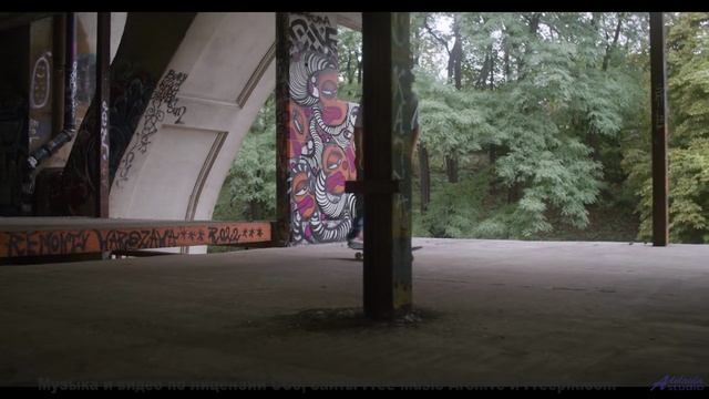 Леса превращаются в личный космос под эту мелодию - Since When -- Mise Darling -- Rebel
