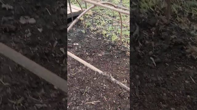 Апрельские работы в саду и на огороде!!!!