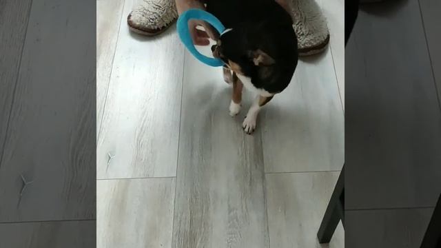1000009615.mp4