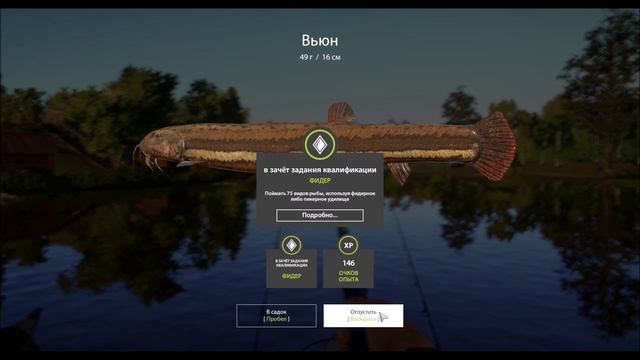 Вьюн, озеро Комариное, игра Русская рыбалка 4, снасть, наживка, место, координаты