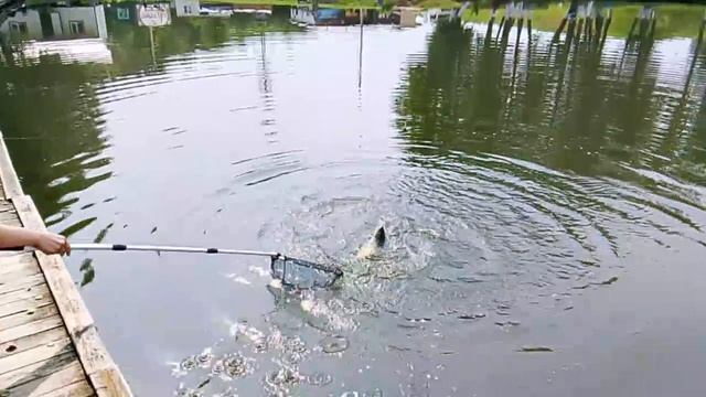 1000072039.mp4