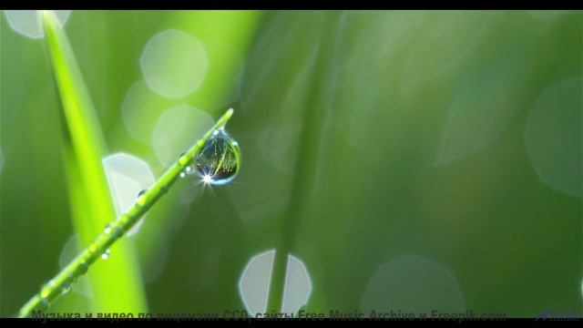 Саунд рисует по небу узоры, которых не видели - Believe In Me (I Got Dis - I Got Us) -- Tadz -- Soul