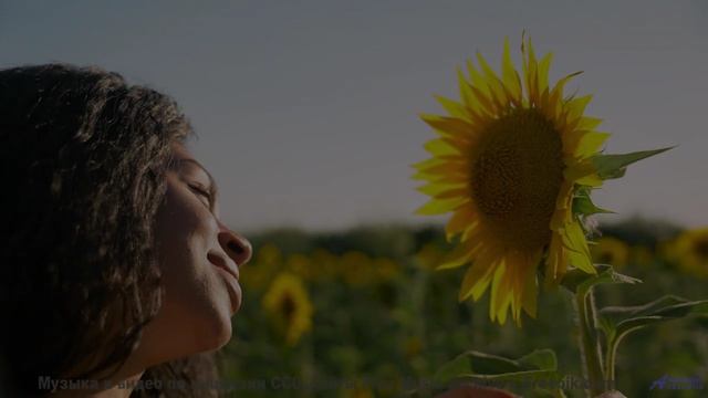 Клип, созданный искусственной нейросетью - новое слово в искусстве! - Kids Stuff -- Mello C -- 7 Bea