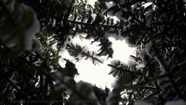 Музыка рождает желание исчезнуть среди природы - Breadcrumbs -- Satellite State -- Collective