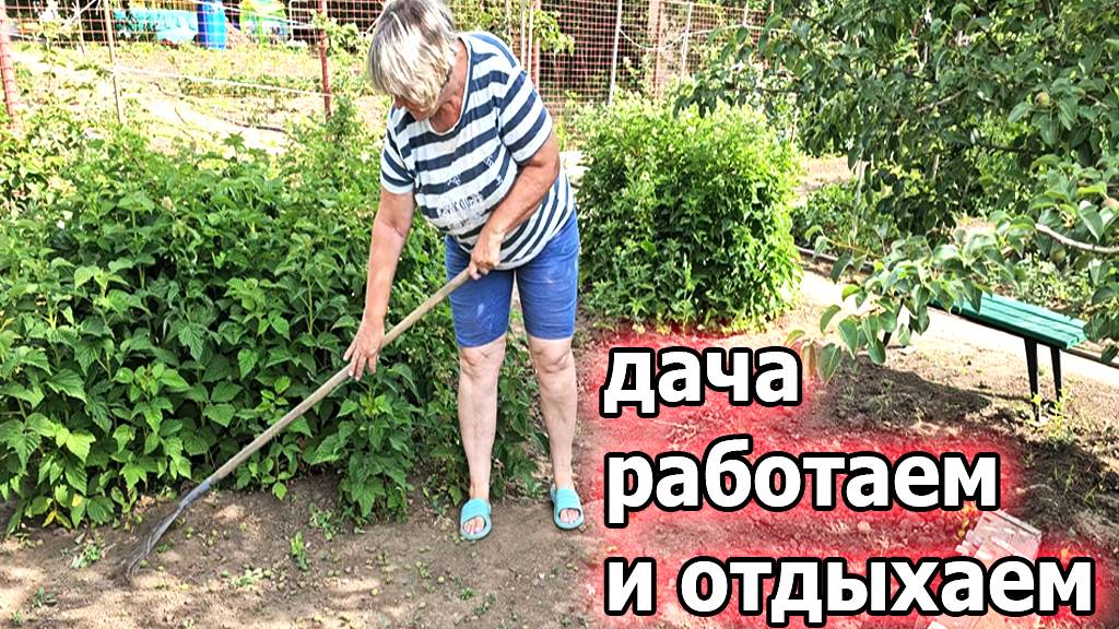 Дача.Пошла клубника.Работаем и отдыхаем.Июнь 2025