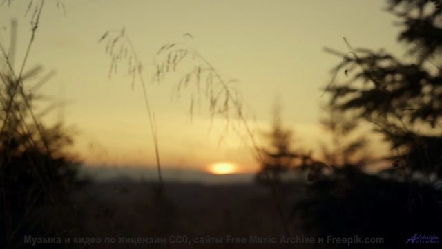 Природа становится личной вселенной под этот трек - Blue-Ones -- Ketsa -- Bedding