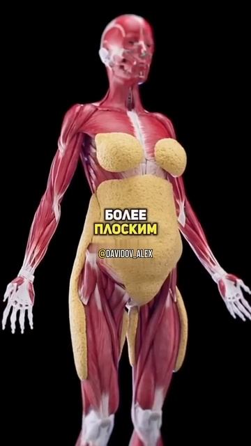если_женщина_будет_пить_молоко_с_куркумой_каждый_день_#спорт_#рецепт