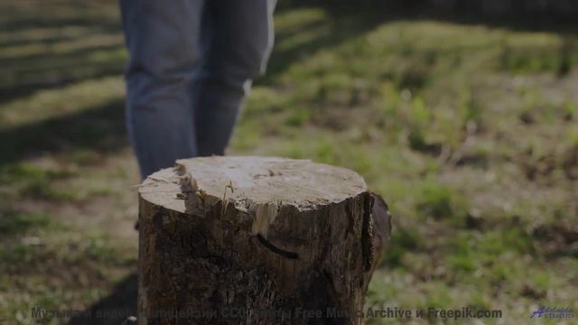 Лес превращается в сказку, стоит лишь включить звук - My deity...  -- Michael Angel -- My deity