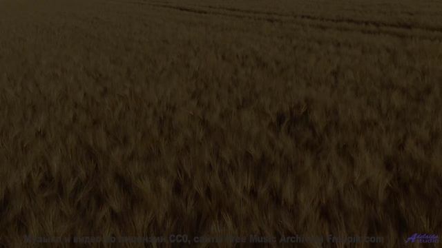 Музыка качает сильнее любого шторма на море - Cold -- Makaih Beats -- Cold