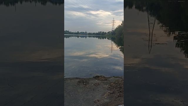 Вступительное видео. Малаховка.