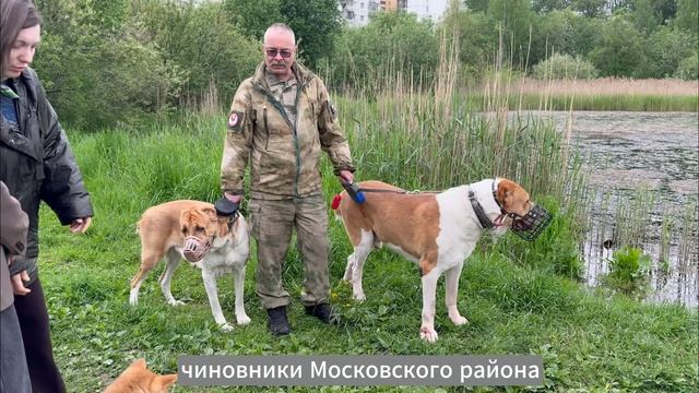 История борьбы за народное озеро «Лунный серп»