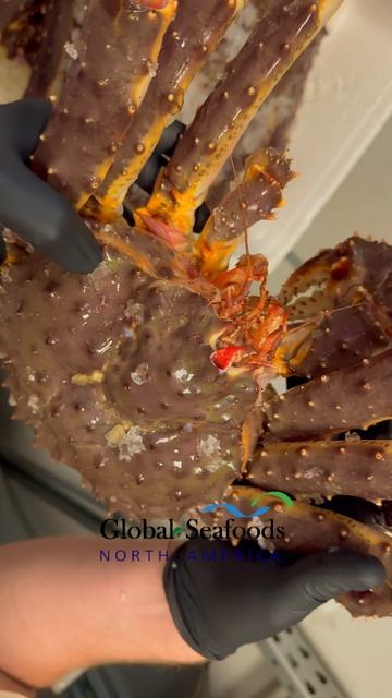 🦀 Живой краб-стригун из Норвегии — свежесваренный, 8 фунтов настоящей роскоши!