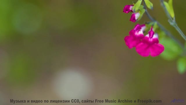 Здесь обитает НЕЧТО древнее. - Sounds Release -- Tim Woulfe -- A House Is A Holding