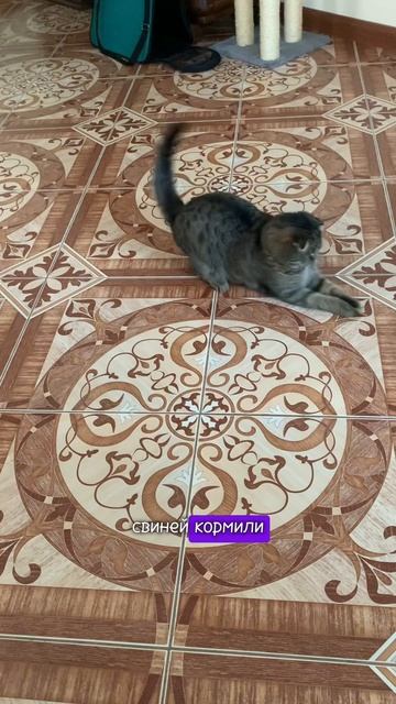 Вот так и живем)