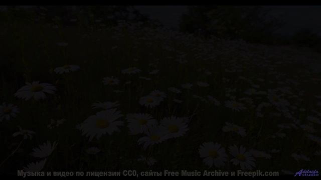 Прогуляйтесь под эту мелодию - и день станет незабываемым! - Family -- Kirk Osamayo -- Season Two (Y