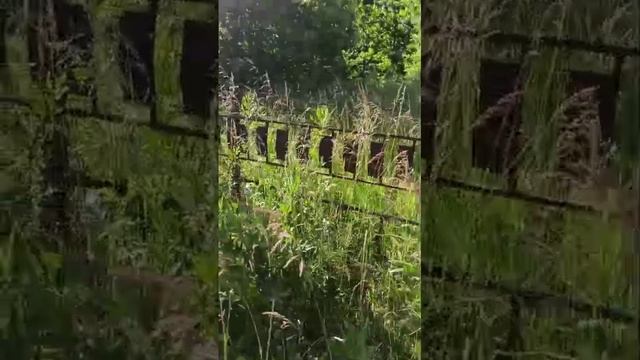 Заброшенное футбольное поле ( Обзор)