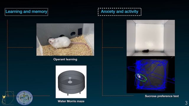 Видео конференция