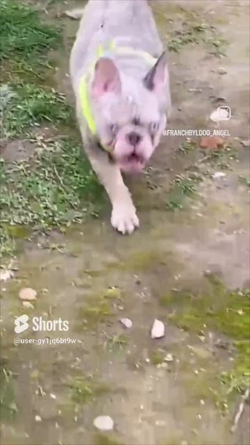 1000103060.mp4