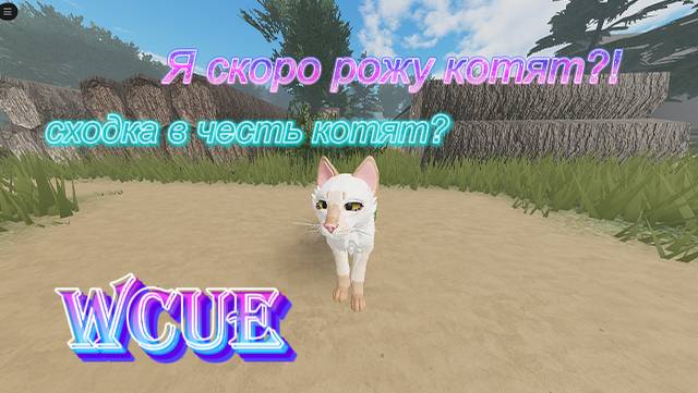 Я скоро рожу котят?!Сходка в честь котят?|WCUE|Sandy carnation|Warrior cats Ultimate Edition