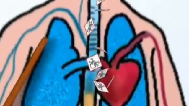 Napo in... Danger Chemicals! Episode 6