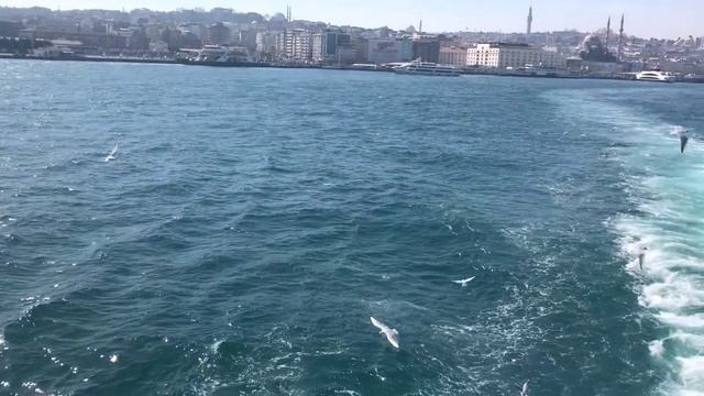 Турция, Стамбул в Босфорском заливе (5)