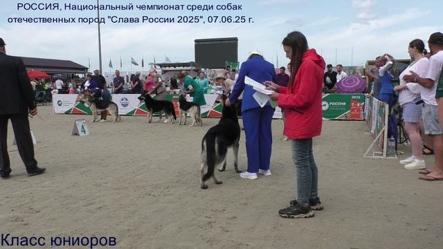Класс юниоров