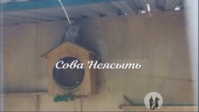 Гальчья Гора. Чудо природы рядом с нами