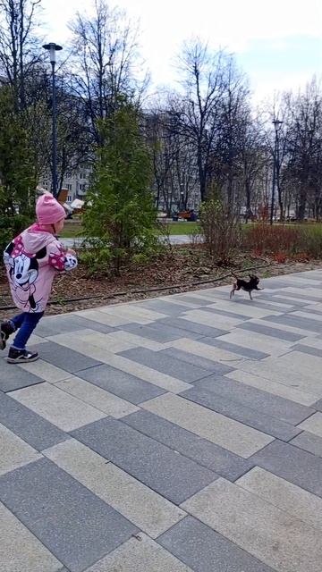 Играю с собакой))