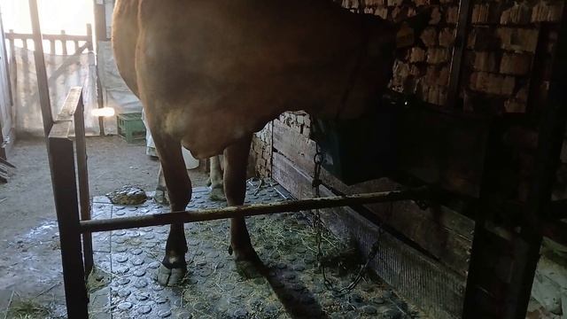 Собираем пряные травы