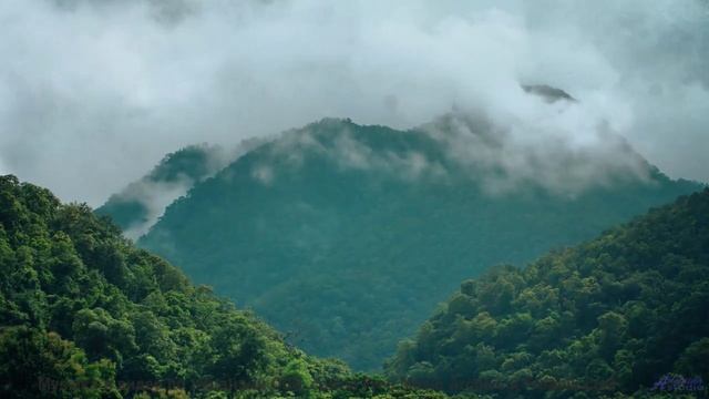 Пейзажи качают сердце как танец на ветру - In The End -- En attendant Ana -- Songs from the cave