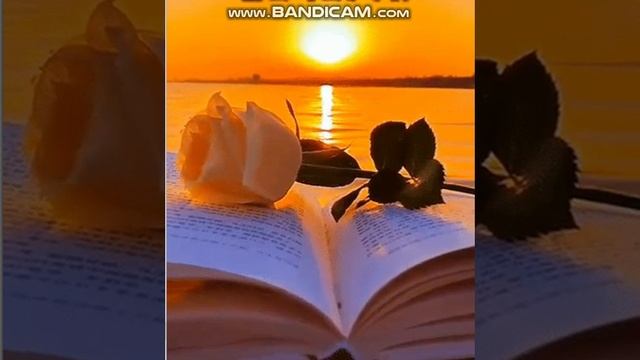 "Тёмная вода"