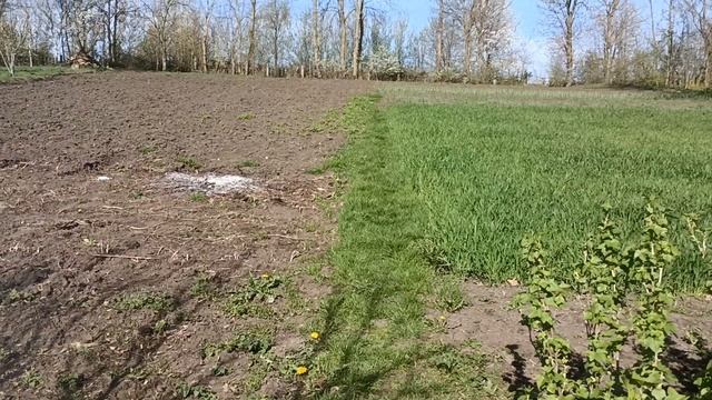 Весняний день рік годує. Фрезерування городів мотобло