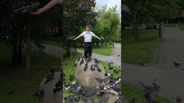 Егор, Голуби и Led Zeppelin (Immigrant Song) ~ Egor, Pigeons and Led Zeppelin (Immigrant Song)