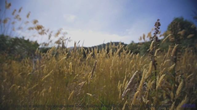 Саундтрек рождает ощущение, будто Земля говорит с вами - Best that you can be -- Expendable Friend -