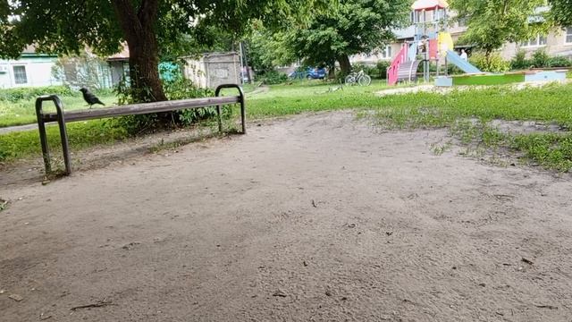 1000008327.mp4